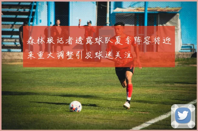 森林狼记者透露球队夏季阵容将迎来重大调整引发球迷关注