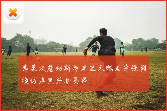 弗莱谈詹姆斯与库里天赋差异强调模仿库里并非易事