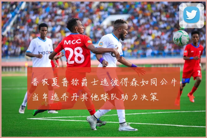 香农夏普称爵士选彼得森如同公牛当年选乔丹其他球队助力决策