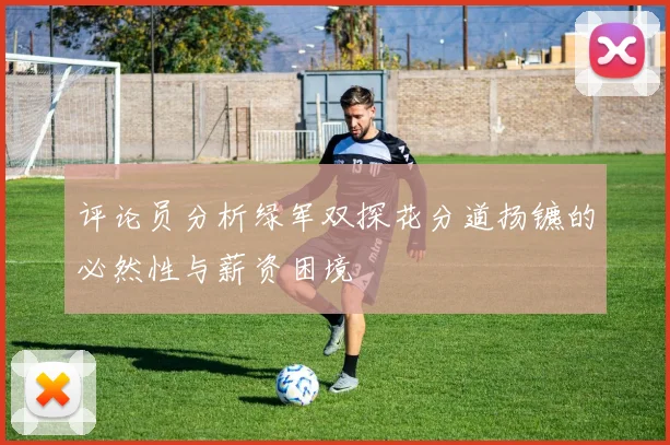 评论员分析绿军双探花分道扬镳的必然性与薪资困境